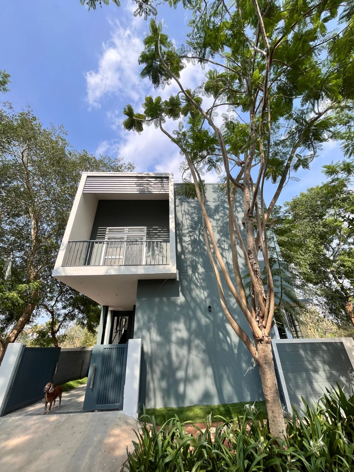Grey Green Block residence, Mysuru — cantilevered upper balcony over the entrance gate, seen from the street through the trees