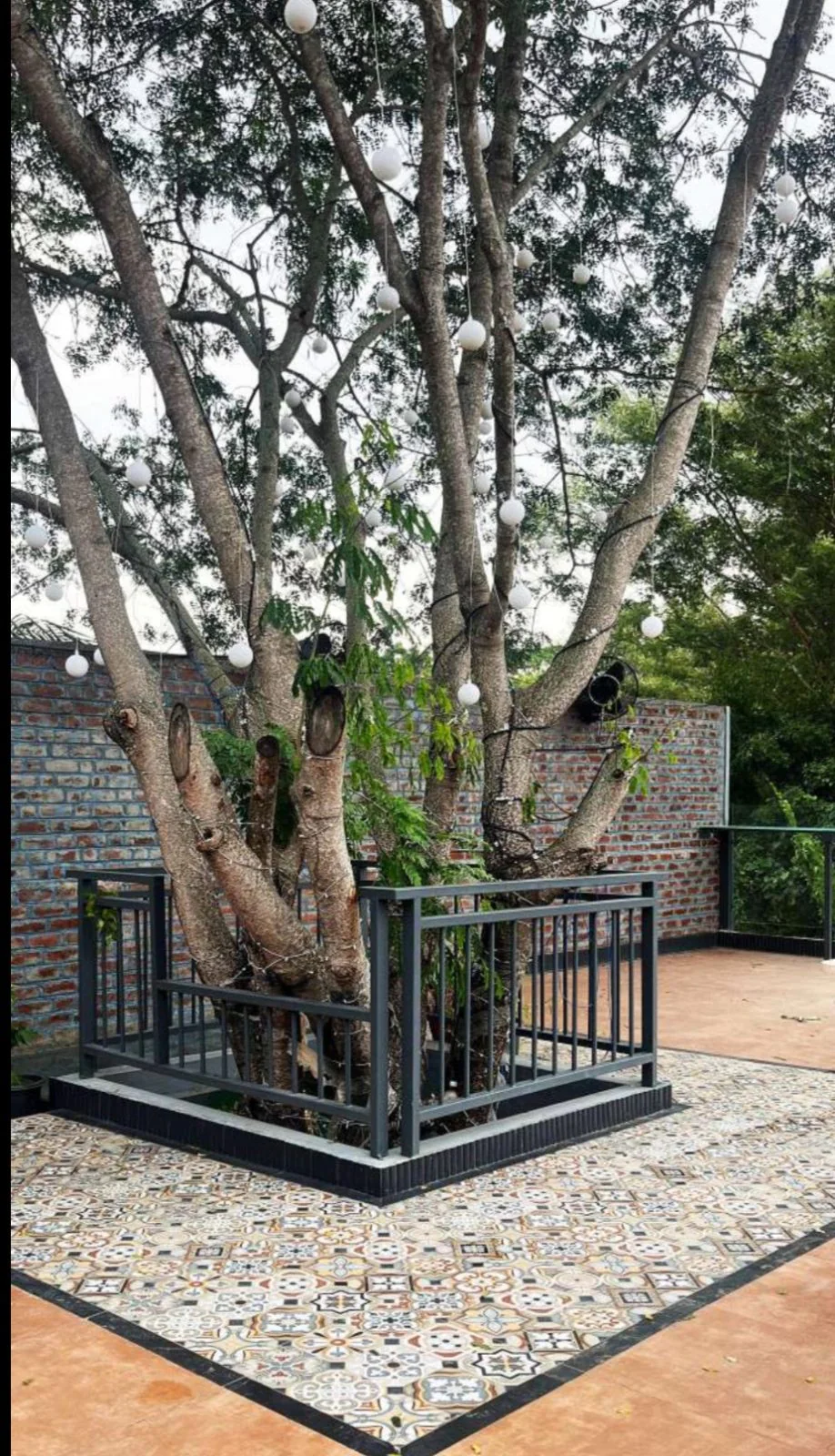 Mysore Union, Mysuru — rooftop dining deck built around a full-grown tree